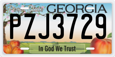 GA license plate PZJ3729