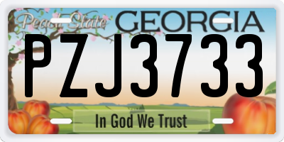 GA license plate PZJ3733