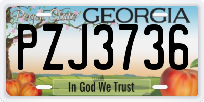 GA license plate PZJ3736