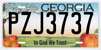 GA license plate PZJ3737
