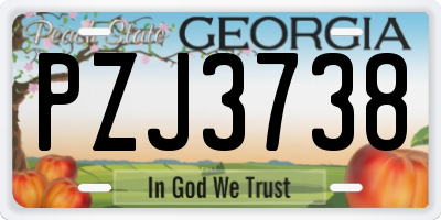 GA license plate PZJ3738