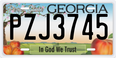 GA license plate PZJ3745