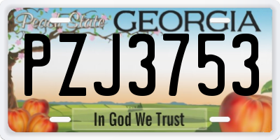 GA license plate PZJ3753
