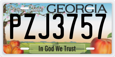 GA license plate PZJ3757