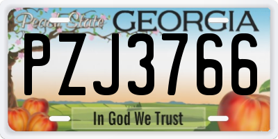 GA license plate PZJ3766