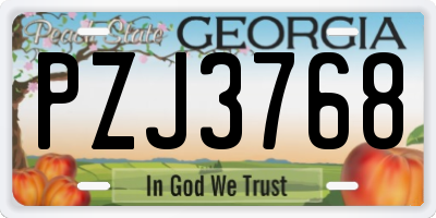 GA license plate PZJ3768
