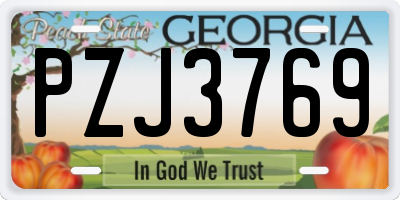 GA license plate PZJ3769