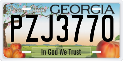 GA license plate PZJ3770