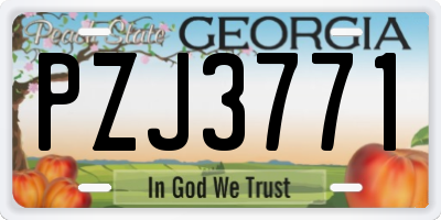 GA license plate PZJ3771