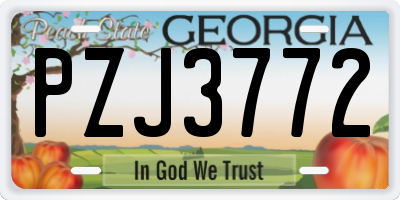 GA license plate PZJ3772