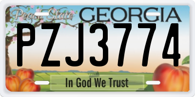 GA license plate PZJ3774
