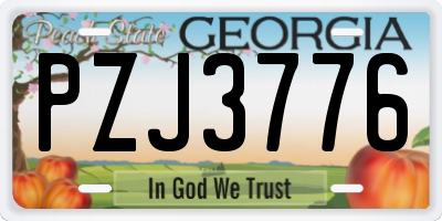 GA license plate PZJ3776