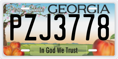 GA license plate PZJ3778