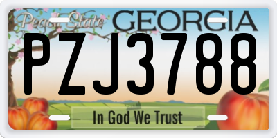 GA license plate PZJ3788