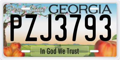 GA license plate PZJ3793