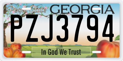 GA license plate PZJ3794