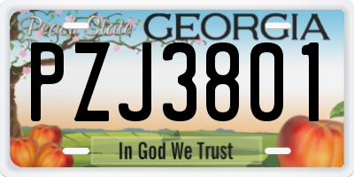 GA license plate PZJ3801