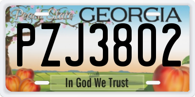 GA license plate PZJ3802
