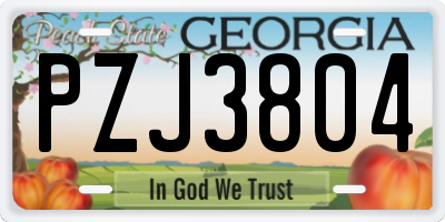 GA license plate PZJ3804