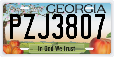 GA license plate PZJ3807