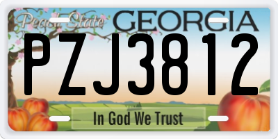 GA license plate PZJ3812