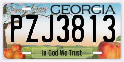 GA license plate PZJ3813