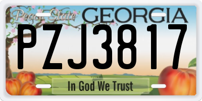 GA license plate PZJ3817
