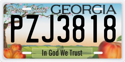 GA license plate PZJ3818