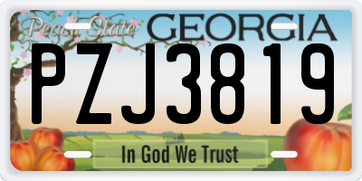GA license plate PZJ3819