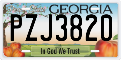 GA license plate PZJ3820