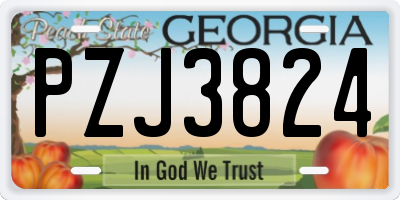 GA license plate PZJ3824