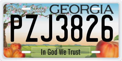 GA license plate PZJ3826