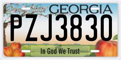 GA license plate PZJ3830