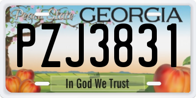 GA license plate PZJ3831
