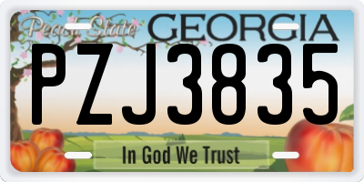 GA license plate PZJ3835