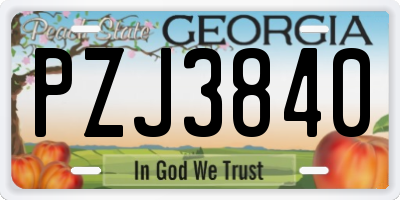 GA license plate PZJ3840