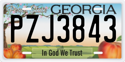 GA license plate PZJ3843