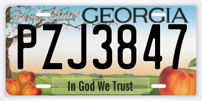GA license plate PZJ3847