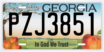 GA license plate PZJ3851