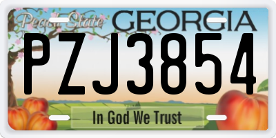GA license plate PZJ3854