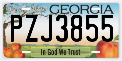 GA license plate PZJ3855