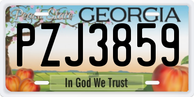 GA license plate PZJ3859