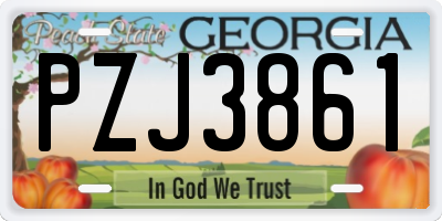 GA license plate PZJ3861
