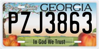 GA license plate PZJ3863