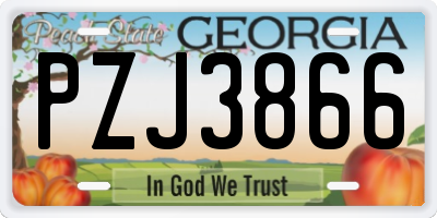 GA license plate PZJ3866