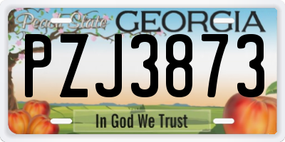 GA license plate PZJ3873