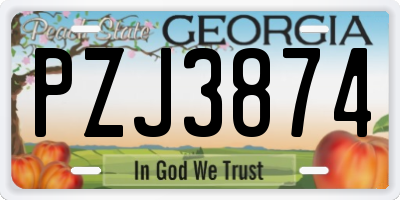 GA license plate PZJ3874