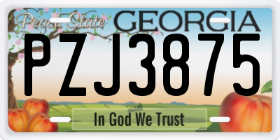 GA license plate PZJ3875