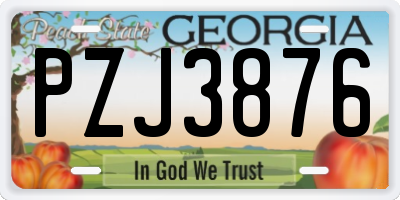 GA license plate PZJ3876
