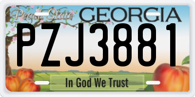 GA license plate PZJ3881